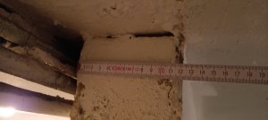 IMG_20250102_115051.jpg