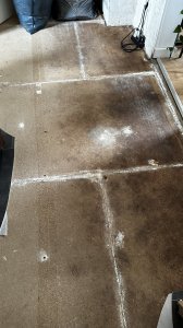 IMG_1391.JPEG