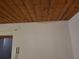 IMG-20250108-WA0010.jpg