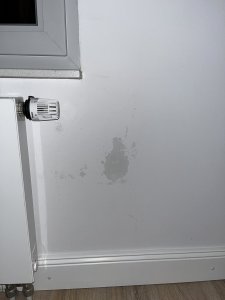 Bild 1.jpg