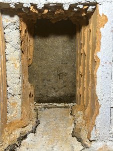 IMG_6651.jpeg