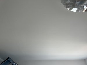IMG_1363.jpeg