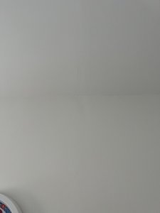 IMG_1364.jpeg