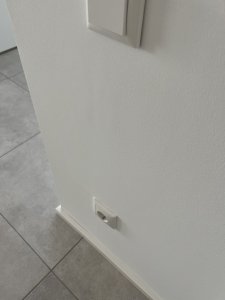 IMG_1359.jpeg