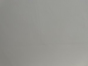 IMG_1352.jpeg
