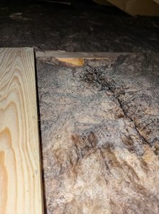 PXL_20250104_101546060.jpg