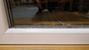 fenster1.jpg
