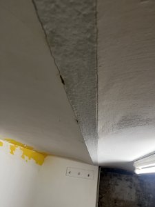 IMG_2104.jpeg