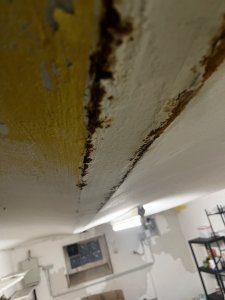 IMG_2098.jpeg
