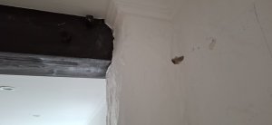 20250118_123025.jpg