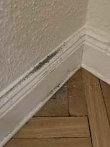 IMG_0899.jpeg