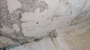 PXL_20250119_120904684.jpg