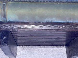 IMG_5936.jpeg