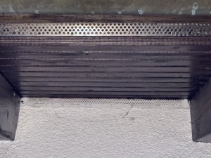 IMG_5934.jpeg