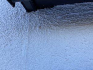 IMG_2340.jpeg
