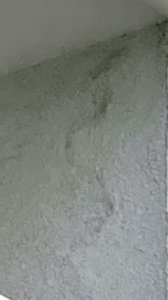 IMG_0128.jpeg