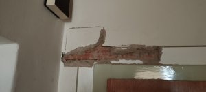 IMG_20250123_111518.jpg