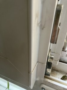 IMG_2028.jpeg