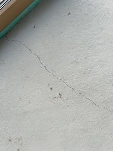 IMG_0776.jpeg