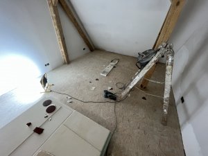 IMG_2310.jpeg