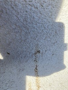 IMG_0506.jpeg