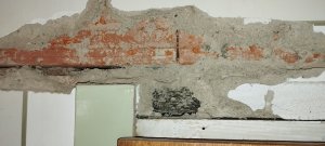 IMG_20250127_110542.jpg