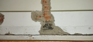IMG_20250127_110536.jpg