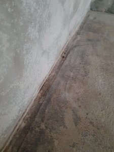 20250127_155105.jpg