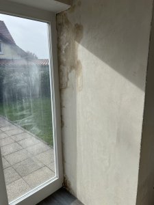 IMG_6254.jpeg