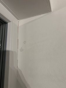 IMG_0838.jpeg