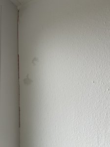 IMG_1049.jpeg