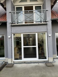 IMG_1113.jpeg
