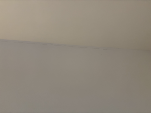 tempImageELOET8.png