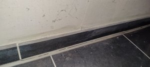 IMG20250201214130.jpg