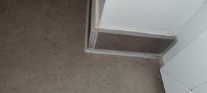 IMG20250201213504.jpg