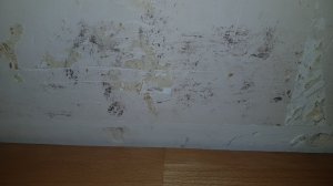 20250130_131355.jpg