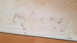20250130_131204.jpg