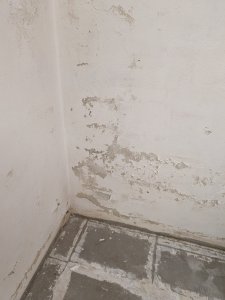 PXL_20250131_101555334.jpg