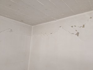 PXL_20250131_101605994.jpg