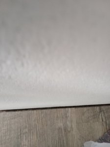 IMG20250204130825_01.jpg