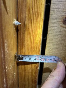 IMG_9909.jpg