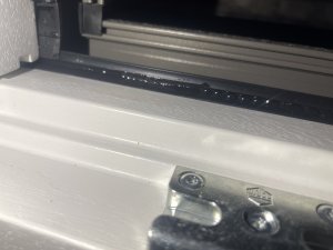 IMG_4561.jpeg