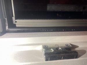IMG_4562.jpeg