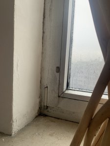 IMG_2408.jpeg