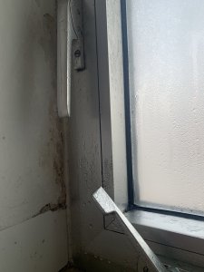IMG_2410.jpeg