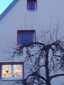 20250203_175229.jpg