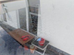 PXL_20240429_084241653.jpg