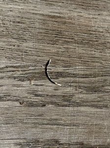 IMG_0838.jpeg