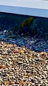 IMG_0832.jpeg