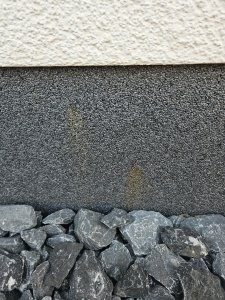 20250203_085819.jpg